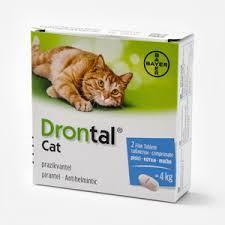 Drontal Gatos 2comp VET