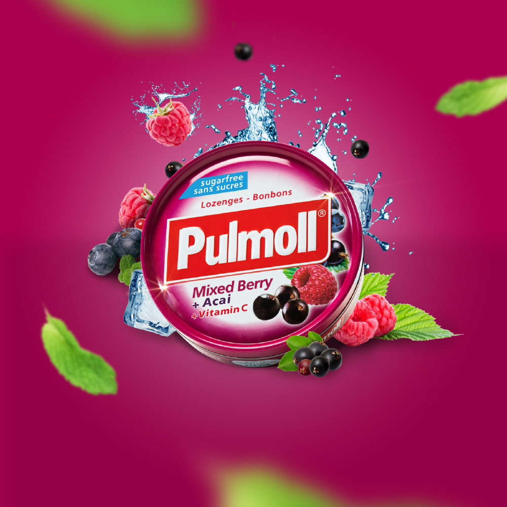 Pulmoll Pastilhas Frutos Silvestres Sem Açúcar 45g