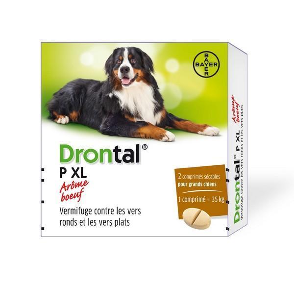 Drontal Plus XL Flavour 2comp VET