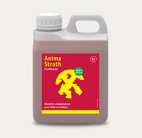 Anima Strath Stärkendes Elixier 1L VET