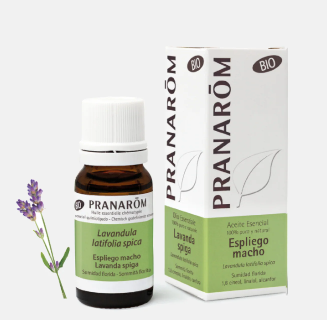 Pranarom Óleo Essencial Lavanda Latifolia 10ml