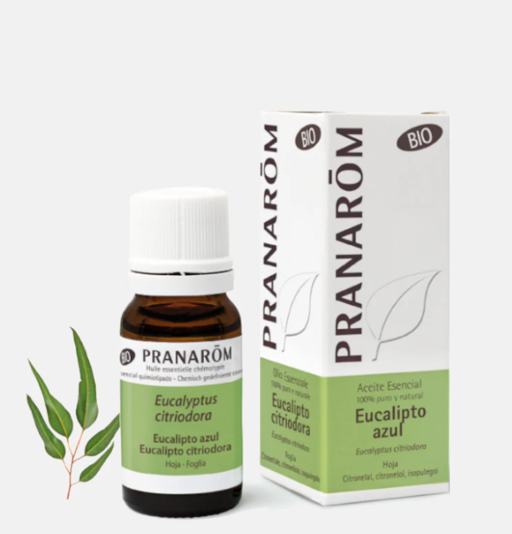 Pranarom Óleo Essencial Eucalipto 10ml