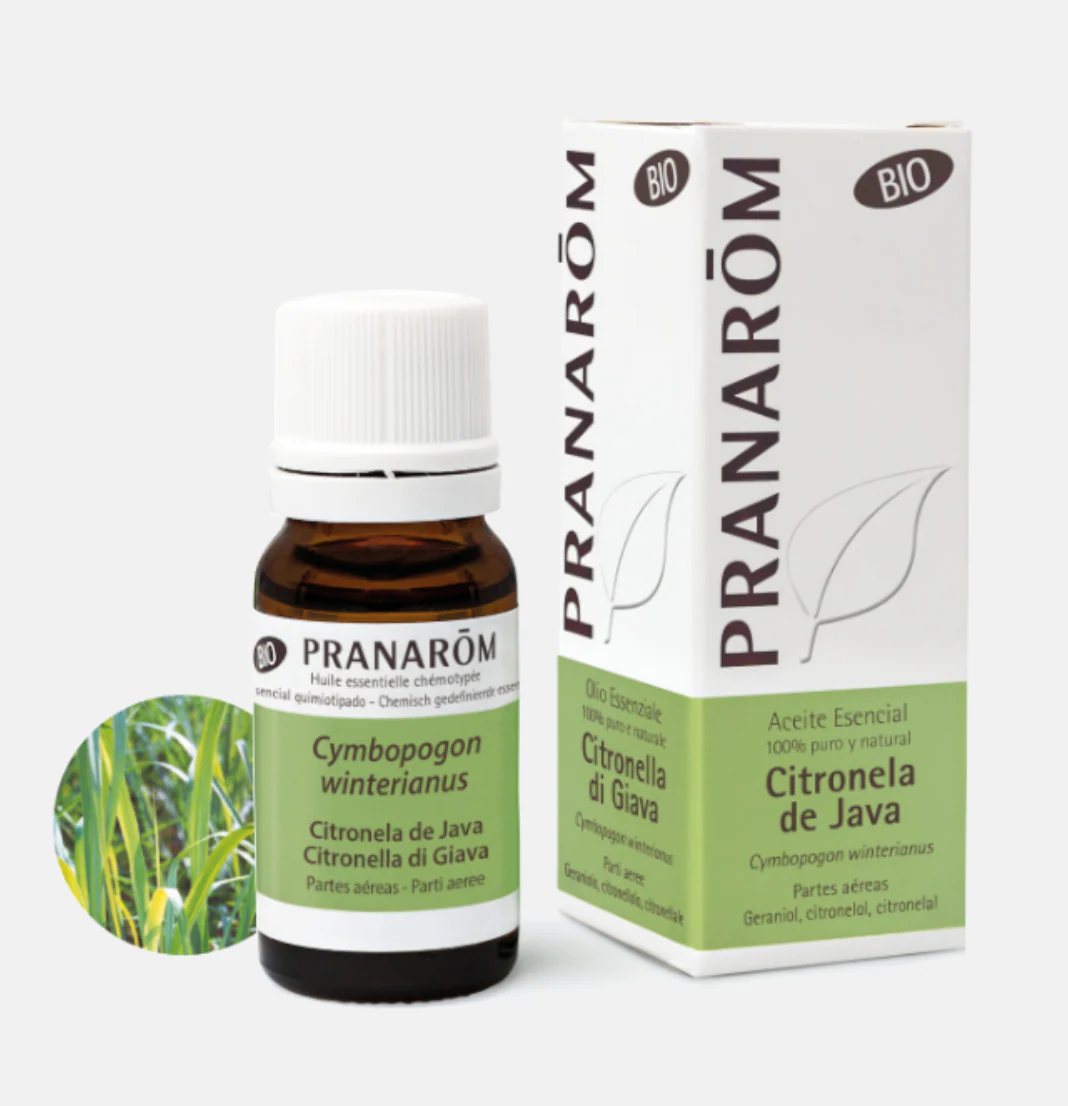 Pranarom Óleo Essencial Citronela Java 10ml