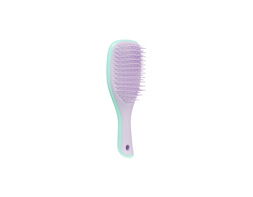 Tangle Teezer Wet Detangler Mini Mint/Lilac