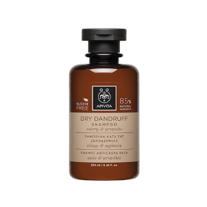 Apivita Ch Anticaspa Seca 250ml